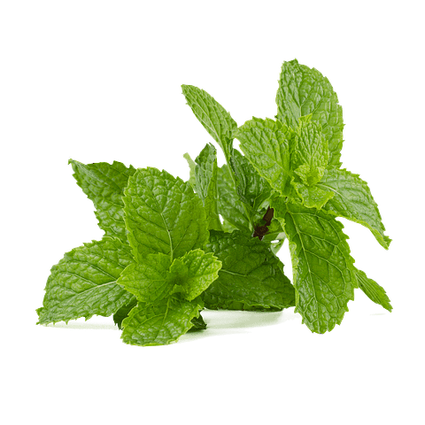 mint leaf, mint, peppermint-5000530.jpg