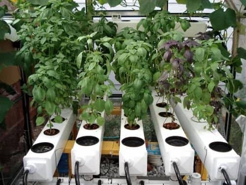 Aeroponic Gardening