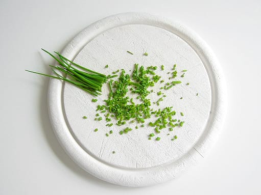 Chives plant